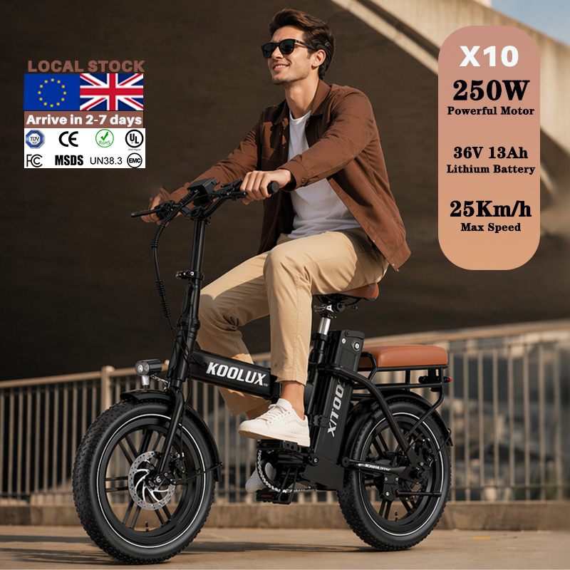 Europe Poland X10 Electric Fol - Mountain Biking Europe recension och pris